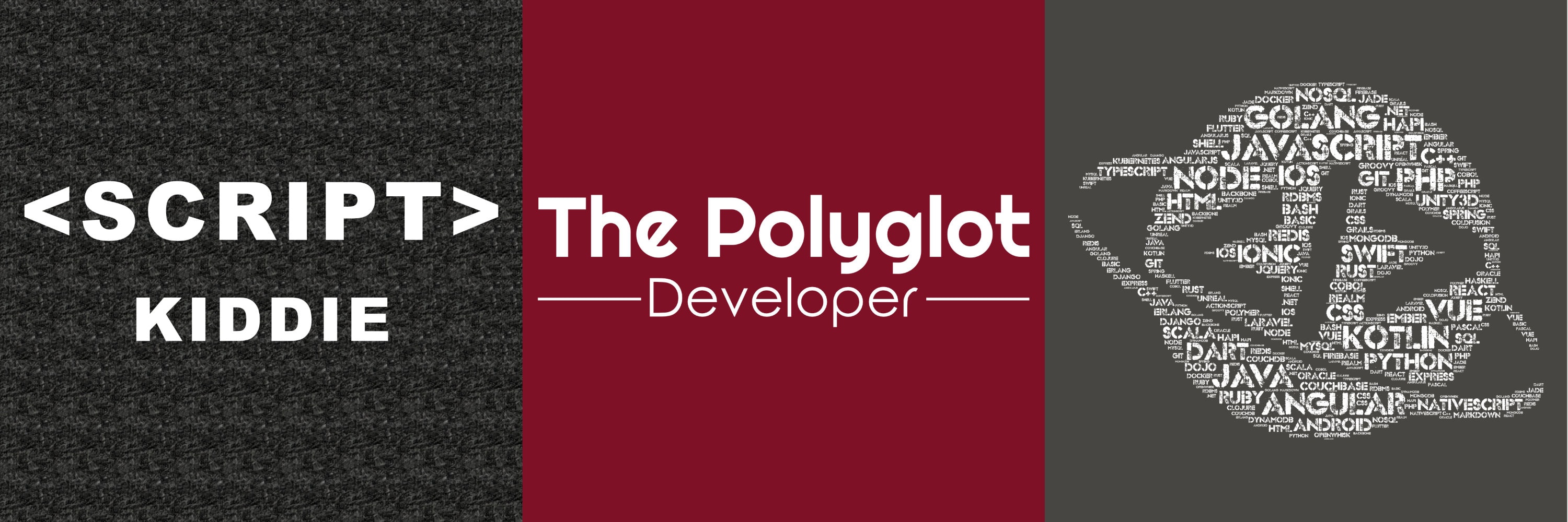 Available Polyglot Developer Shirts