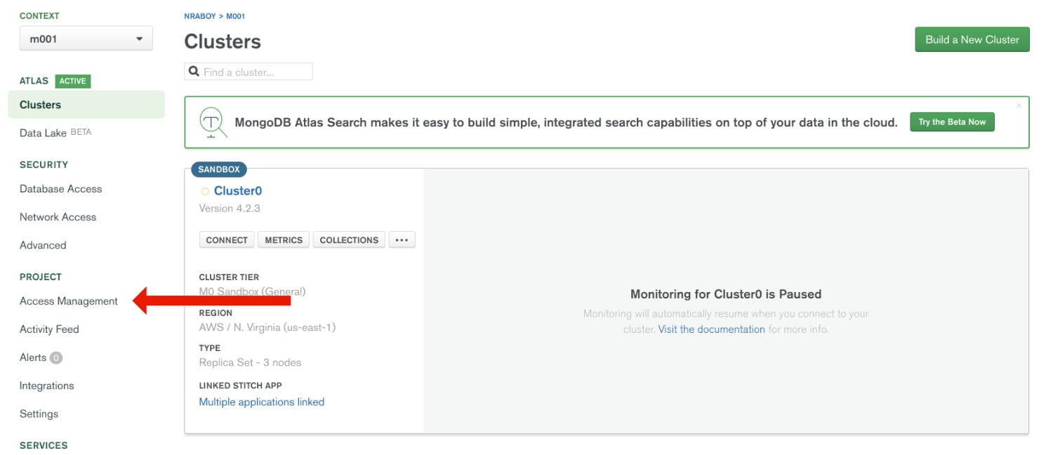 MongoDB Atlas Access Management