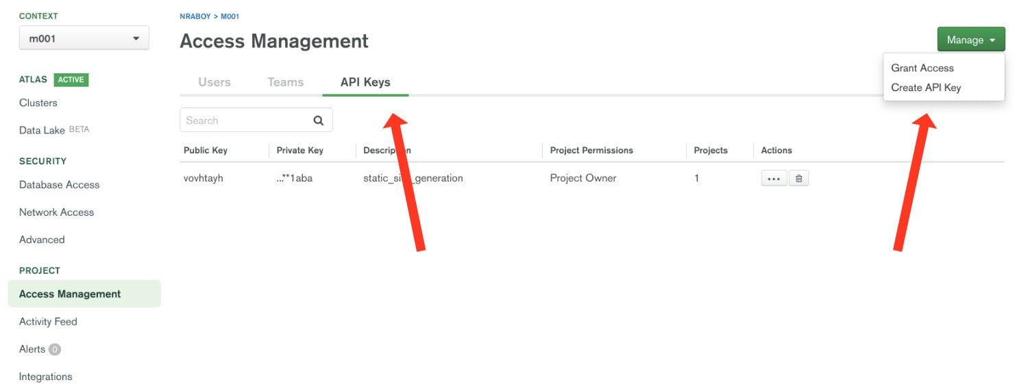 MongoDB Atlas Access Management