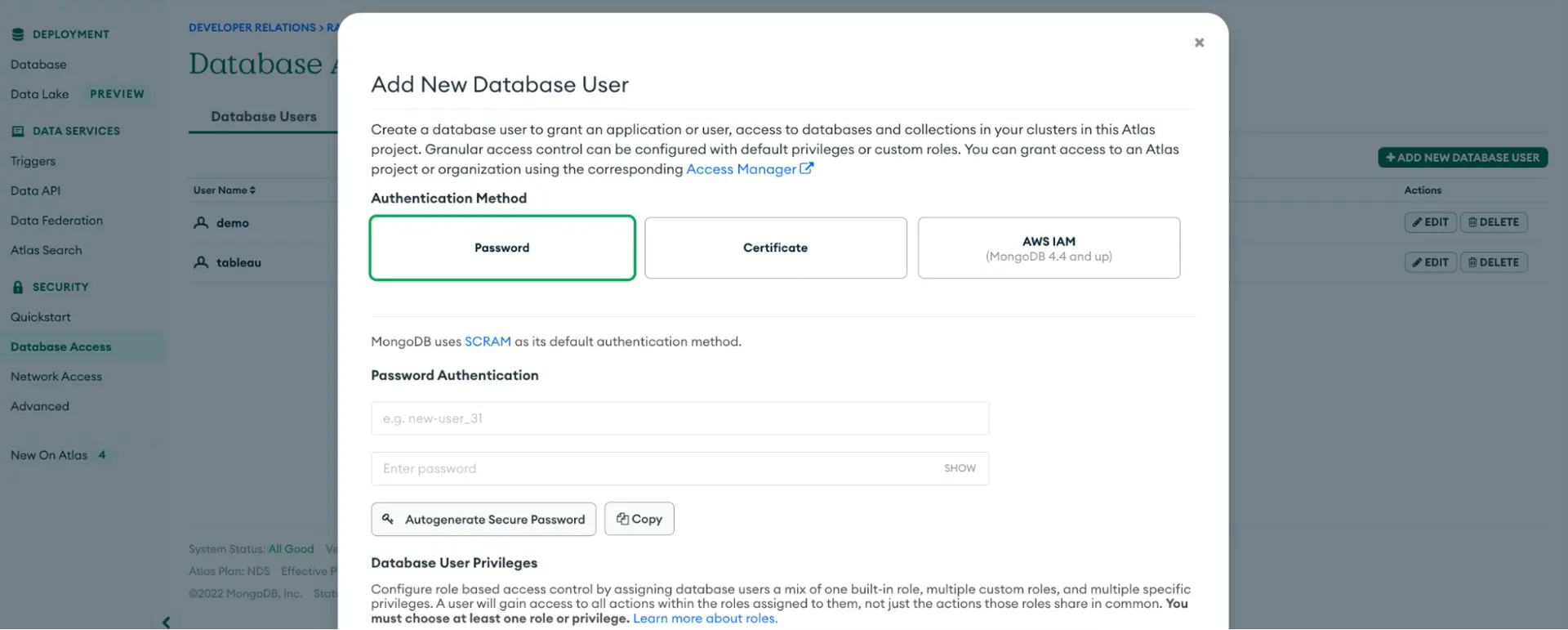 Atlas Serverless Instance Database Access